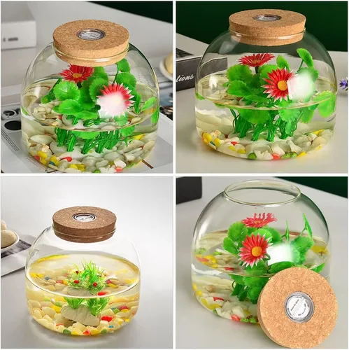 Vista 9 de PATKAW Tarro de terrario de vidrio para plantas suculentas, terrario, botella ecológica con tapa de corcho para suculenta helecho, musgo, plantas