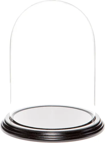Vista 9 de Plymor Cúpula de cristal de 5.5 x 8 pulgadas (base de madera MDF negra)