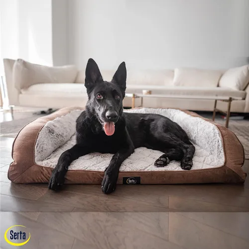 Vista 5 de Serta Cama ortopédica acolchada tipo sofá para perros - Marrón chocolate (Pequeño)