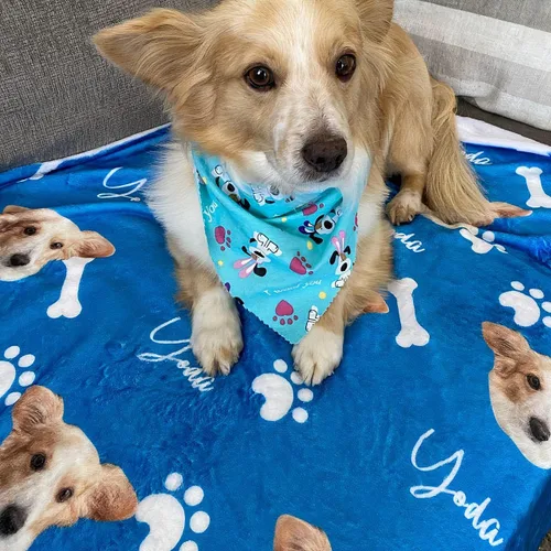 Vista 14 de Manta personalizada de fotos y textos para bebés, niños y adultos. Manta facial de forro polar personalizada, regalos personalizados para perros