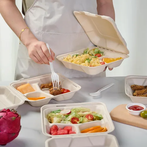 Vista 5 de ECOLipak Paquete de 300 recipientes con forma de ostra para llevar, 100% compostables y desechables, recipientes para llevar comida de 20,3 x 20,3 3