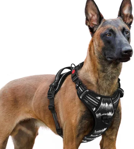 Vista 72 de Rabbitgoo - Arnés para perro de tamaño pequeño, arnés para mascotas sin tirones con 3 hebillas, chaleco acolchado suave ajustable con mango