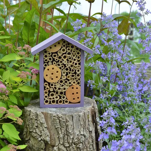 Vista 8 de Nature's Way Productos para Aves PWH1-B Casa de Abeja Púrpura