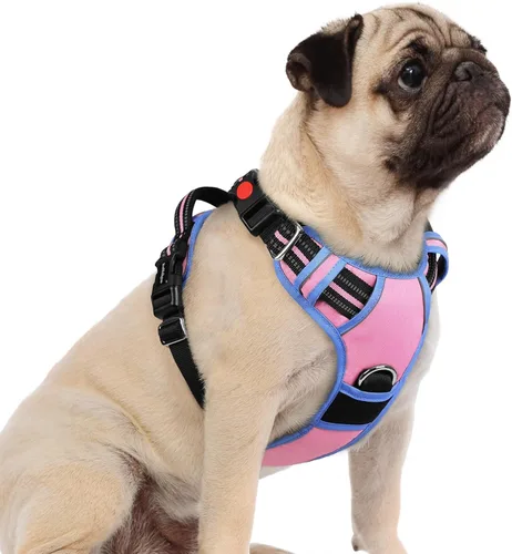 Vista 56 de Rabbitgoo - Arnés para perro de tamaño pequeño, sin tirones, 3 hebillas, fácil de poner y quitar Negro