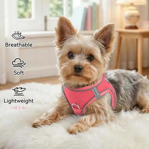Vista 33 de Joytale Arnés para Perros Pequeños, Chaleco de Malla Transpirable Step-in, Arneses Acolchados Suaves Reflectantes para Gatos y Perros Cachorros