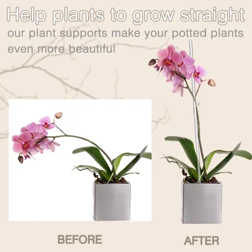 Vista 3 de Estacas para Plantas, Palos para Plantas 20 PCS Estacas de Soporte Acrílico Transparente para Plantas, 16 Pulgadas Estacas de Orquídea de Tallo
