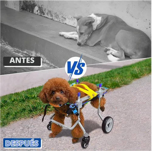 Vista 2 de Silla de ruedas ajustable para perros con cuatro ruedas, remolque de bicicleta de movilidad ligera para mascotas discapacitadas, fácil de montar