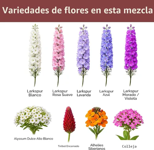 Vista 6 de Mix de semillas de flores silvestres para mariposas y colibríes – Más de 30.000 semillas – Paquete extra grande a granel resellable de 1 oz