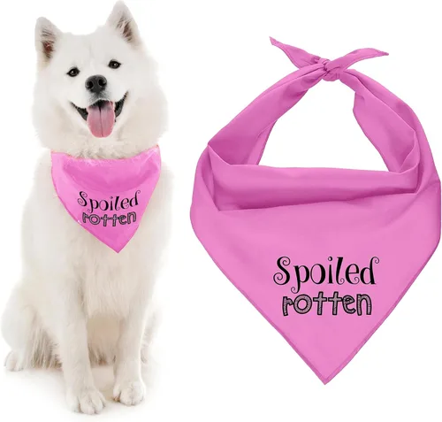 Vista 24 de Parisian Pet Bandanas naranjas para perros – Bandana ajustable para cachorros – Accesorios para perros para niños y niñas – Pañuelo para perros Best