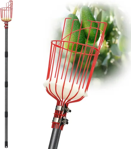 Vista 8 de DonSail Herramienta de caña para recoger frutas con cesta de mango largo, 35-65 pulgadas ajustable de manzana naranja con cesta para recogedor