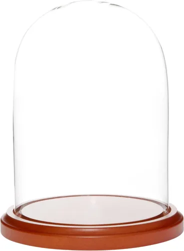 Vista 8 de Plymor Cúpula de cristal de 5.5 x 8 pulgadas (base de madera MDF negra)