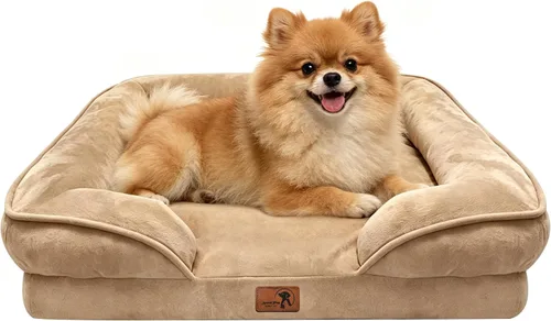 Vista 66 de Spotted Play Cama ortopédica para perros con lados, sofá cama para perros pequeños, sofá cama de espuma de apoyo para mascotas con funda extraíble