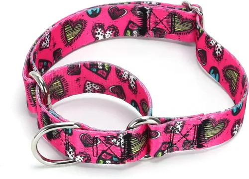 Vista 47 de Collar de perro de nailon resistente, collar ajustable de martingala para perros para caminar y entrenamiento para perros machos y hembras perros