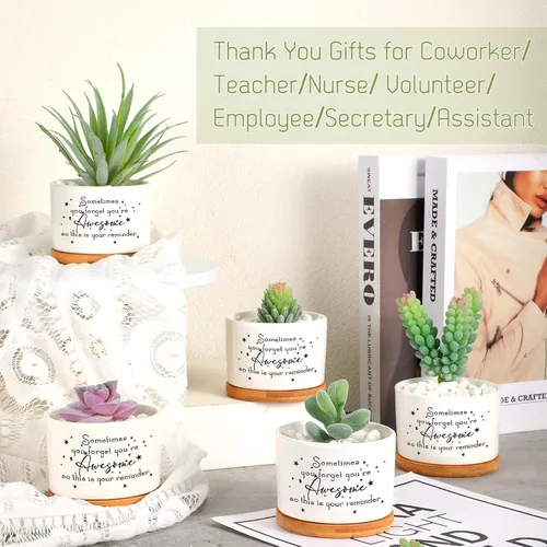 Vista 7 de 12 macetas inspiradoras para suculentas, regalo de agradecimiento a granel para mujeres, empleadas, profesores, compañeras de trabajo, Sometimes You