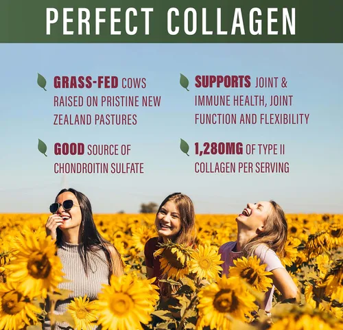 Vista 4 de Perfect Supplements Colágeno perfecto tipo II - 150 cápsulas - Colágeno natural tipo II - Criado en pastos - Apoyo a la salud de las articulaciones