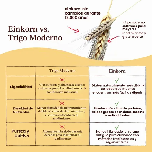 Vista 5 de Jovial: harina orgánica Einkorn, 32 onzas (paquete de 2)