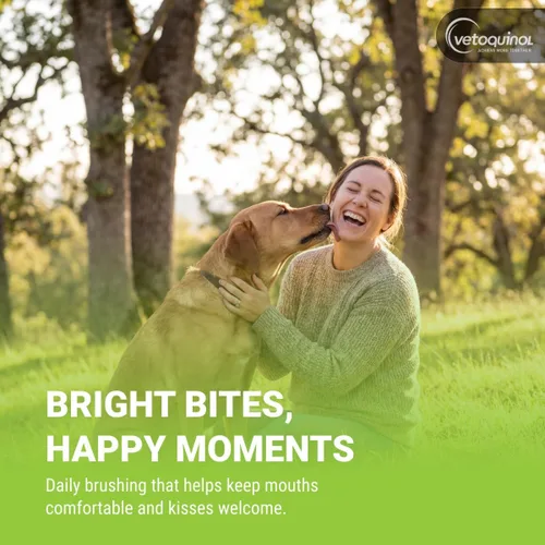 Vista 13 de Vetoquinol Enzadent - Pasta de dientes enzimática para gatos y perros, 3.2 onzas, sabor a aves de corral, fórmula triple enzimática para dientes
