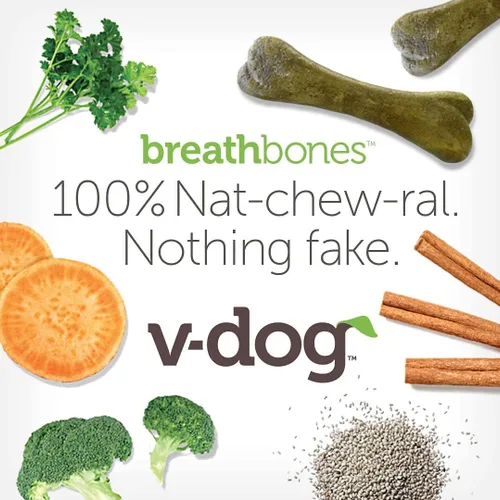 Vista 3 de V-dog Golosinas para perros – Limpieza de dientes veganos Breathbone Dental Huesos – Aliento fresco – 8 onzas – Minis – Todo natural, fabricado