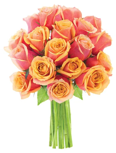 Vista 36 de KaBloom - Rosas arcoíris (media docena)- Flores frescas para cumpleaños, San Valentín y Día de la Madre