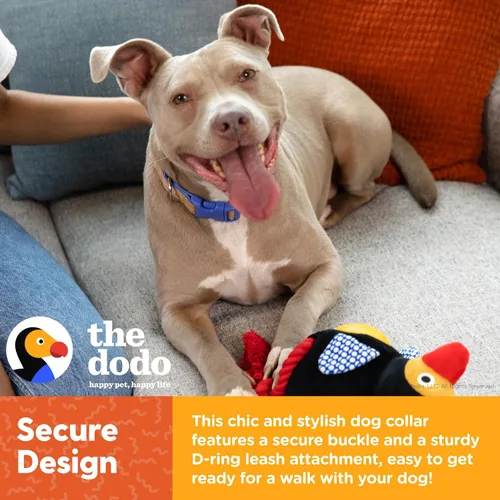 Vista 3 de The Dodo Collar de corcho para perro, rayas, talla pequeña; collar de material de corcho para perros, ropa diaria de mascotas; ajustable a presión