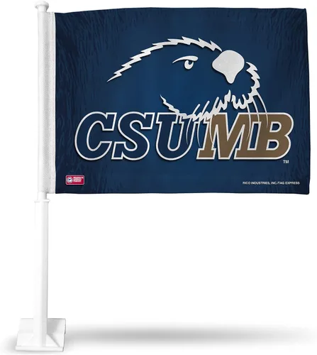 Vista 41 de Rico Industries Bandera de coche de doble cara de la NCAA, gran accesorio para automóvil