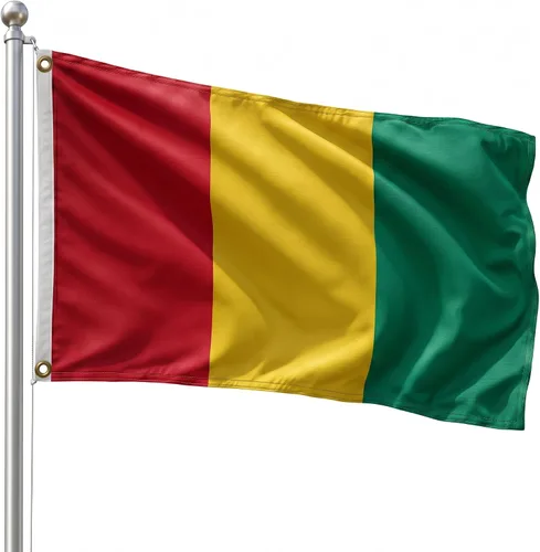 Vista 30 de DMSE - Bandera nacional beninesa beninesa de la República de África Occidental, 2 x 3 pies, 100 % poliéster, 100 % poliéster, resistente a los rayos