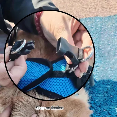Vista 6 de Herramienta ligera para caminar para perros, silla de ruedas ajustable para perros, soporte para piernas y soporte de cadera para perros pequeños