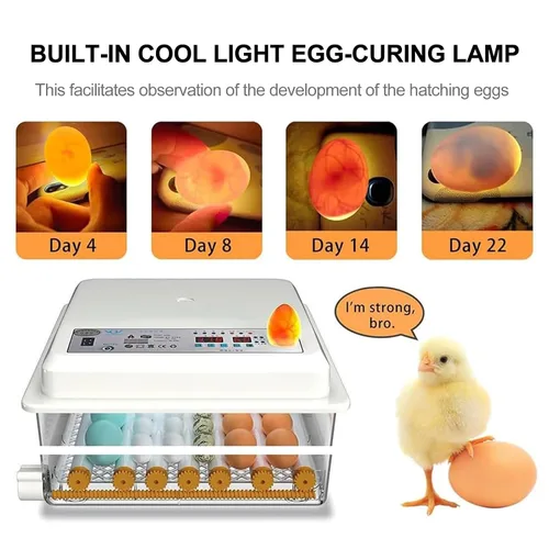 Vista 5 de Fully Automatic Digital Egg Incubator with Temperature Control, Automatic Egg Turning & Built-in Egg Candler, Hatching Machine for Chicken Duck