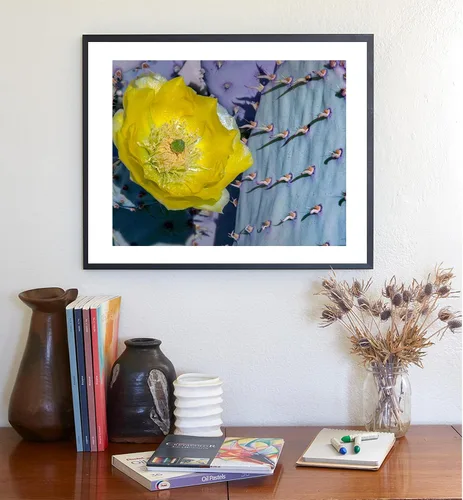 Vista 5 de Blue Prickly Pear Purple Cactus Art Print with Spring Blossom!