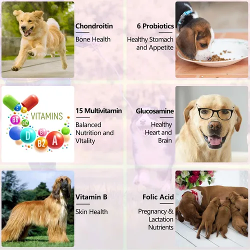 Vista 13 de Gotas multivitamínicas 15 en 1 para perros, gotas multivitamínicas líquidas
