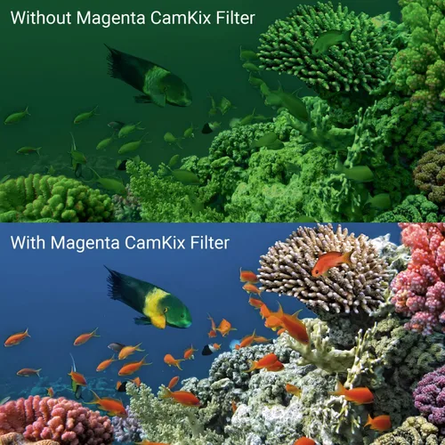 Vista 5 de Juego de lentes para sumergir cámara GoPro HERO, en colores variados para filmar y tomar fotografías debajo del agua, colores vívidos, con contraste