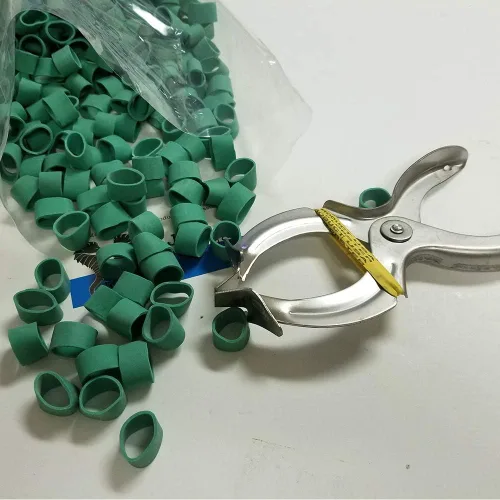 Vista 4 de JCS Bandas de langosta Garra Y Pinza para banda Kit de herramientas Bolsa. 1 Lb (alrededor de 500 pcs.)