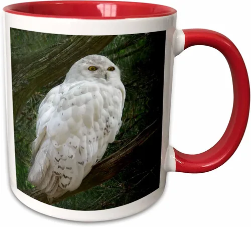 Vista 10 de 3dRose mug_154800_4 - Taza con diseño de búho blanco nieve posado en una rama contra un fondo verde, 11 onzas, color negro