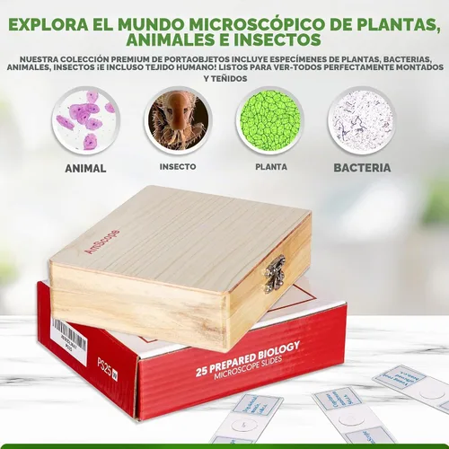 Vista 4 de AmScope Microscopio compuesto binocular para estudiantes y profesionales de la serie B120, aumento 40X-2500X, incluye escenario 3D, pinzas, juego