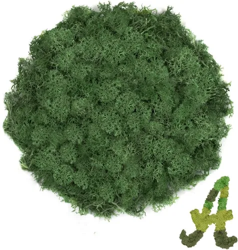 Vista 39 de Musgo de reno azul de 3.5 onzas, musgo preservado para plantas, decoración de musgo, musgo verde para manualidades, musgo para plantas en maceta