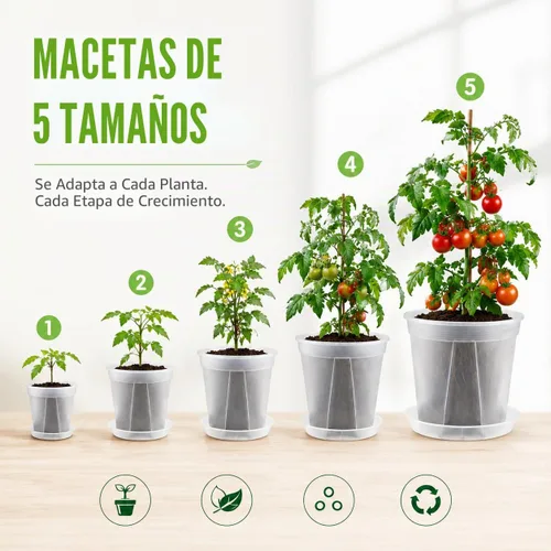 Vista 7 de GREENPARA Macetas transparentes para vivero con platillo para plantas