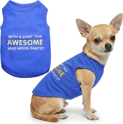 Vista 34 de Camiseta para perro Parisian Pet con palabras bordadas "Es mi cumpleaños" - Camiseta sin mangas para cumpleaños de perro - Chaleco ligero