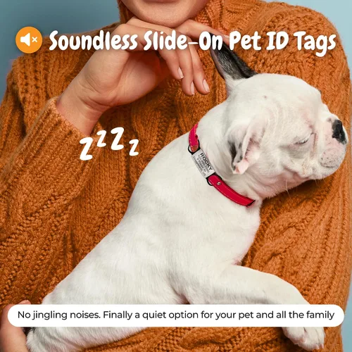 Vista 4 de Etiqueta de identificación de mascotas personalizada con código QR, etiqueta de nombre silenciosa deslizante para perros y gatos, etiqueta