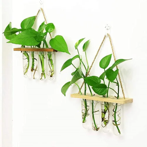 Vista 6 de Maceta colgante de pared terrario con soporte de madera, mini tubo de ensayo, floreros de flores retro colgantes de vidrio propagador para plantas
