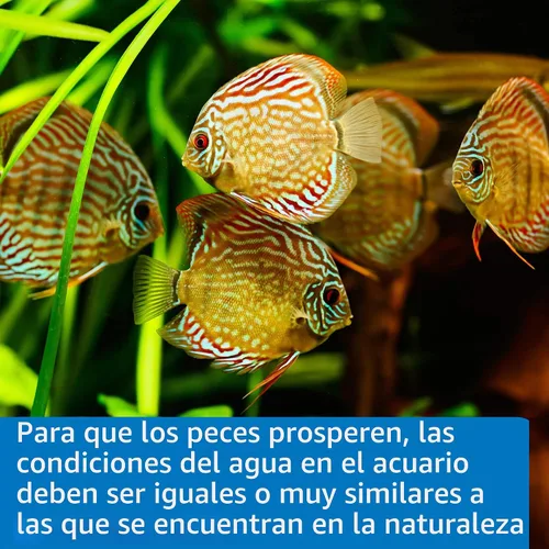 Vista 6 de API Tiras de prueba 5 en 1 para acuarios de agua dulce y salada, caja de 4