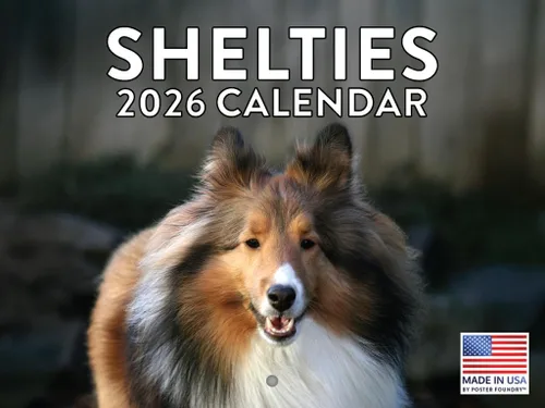 Vista 44 de Calendario mensual de pared Airedale Terrier Dog 2027 rojo (Airedale Terrier)