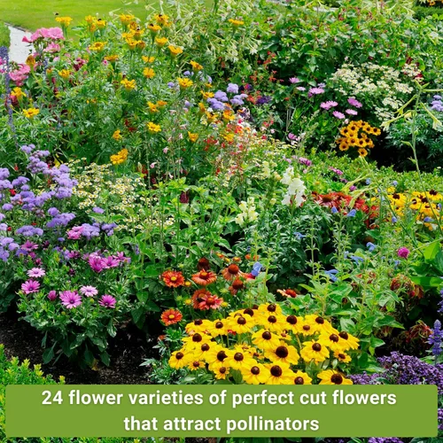 Vista 4 de Sow Right Seeds - Gran colección de semillas de flores para plantar - Zinnias, girasoles, margaritas, cosmos, claveles, stock y más - Atraen a