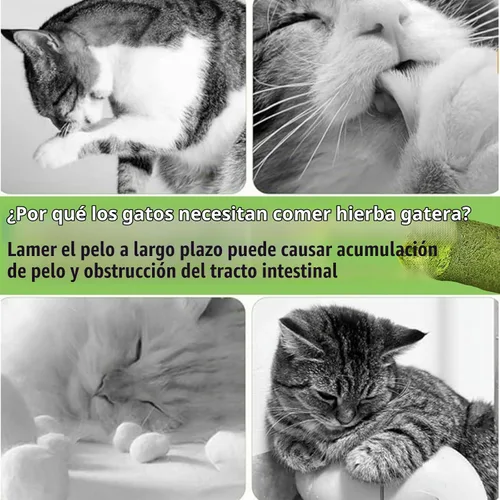 Vista 6 de Meowly Palitos de hierba de gato de 3.88 oz para gatos, palitos de hierba natural con sabor a pollo para limpieza de dientes y remedio para bolas