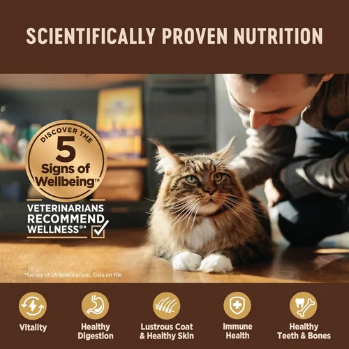 Vista 4 de Wellness CORE Tiny Tasters - Alimento húmedo en paté para gatos adultos, natural, rico en proteínas, sin granos, bolsa de 1.75 onzas, paquete de 12