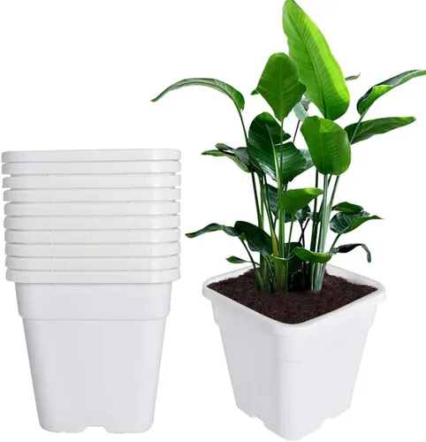 Vista 12 de Macetas cuadradas para vivero, macetas de cultivo para plantas de suelo, 0.63 galones, 10