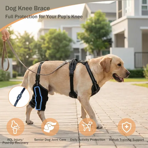 Vista 2 de Rodillera para perro para desgarro ACL/CCL – Soporte ajustable para patas traseras con arnés antideslizante y férula interior, soporte