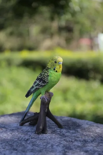 Vista 3 de Hi-Line Gift Ltd Budgie en la rama estatua, verde