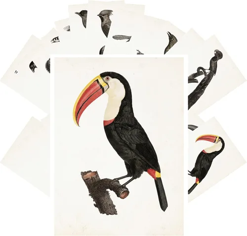 Vista 7 de PIXILUV Postales vintage (24 piezas de 4 x 6 pulgadas cada una) Pinturas de pájaros bonitos de loros y cacatúas, postales vintage, tarjetas