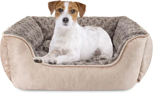 Vista 28 de JOEJOY - Cama rectangular para perros grandes, medianos y pequeños - Cama de sofá ortopédica lavable, suave y transpirable para cachorros