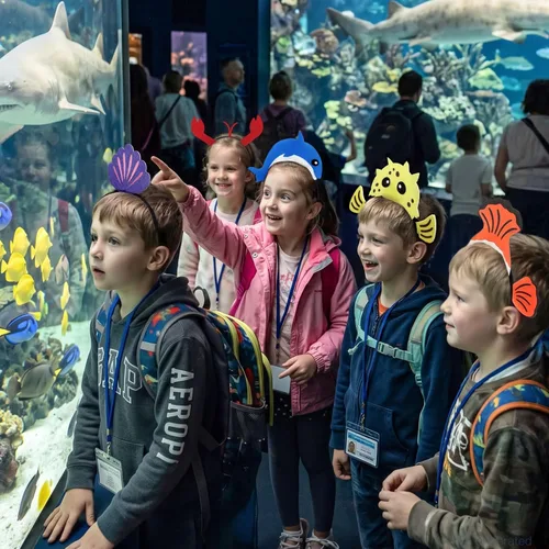 Vista 6 de CiyvoLyeen 12 diademas de peces de animales marinos para fiesta de Océano